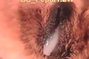 cock,cunt